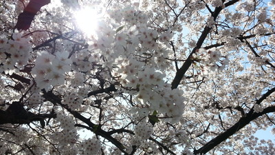 20150331_1.jpg
