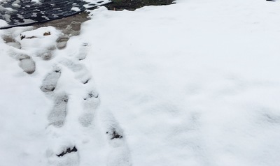 ファイル 2016-04-29 10 05 13.jpeg
