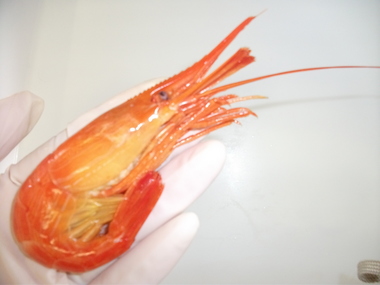 摜 090.jpg