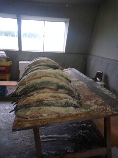071018_1427~0001.jpg